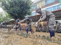 전국 집중호우 피해
