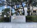 금감원 보험사 KPI