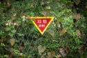북한군 MDL 침범