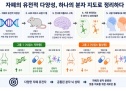 자폐 유전자 뇌패턴