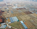 농지 전수조사 처분 제외