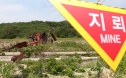 DMZ 지뢰폭발 은폐