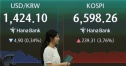 원달러 환율 변동성
